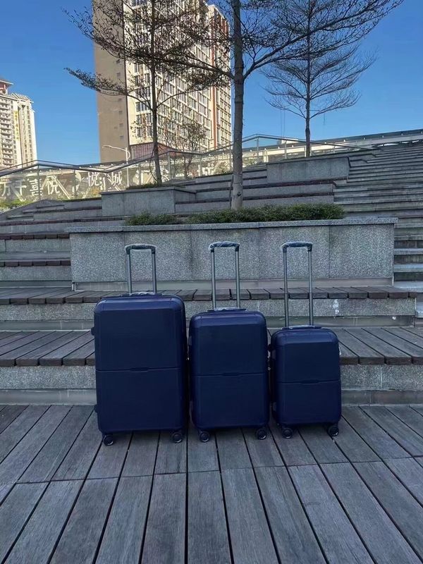 PP Trolley Gepäck Reisetaschen Anzugkoffer Gepäckstücke passende Farbe TSA Schließstücke