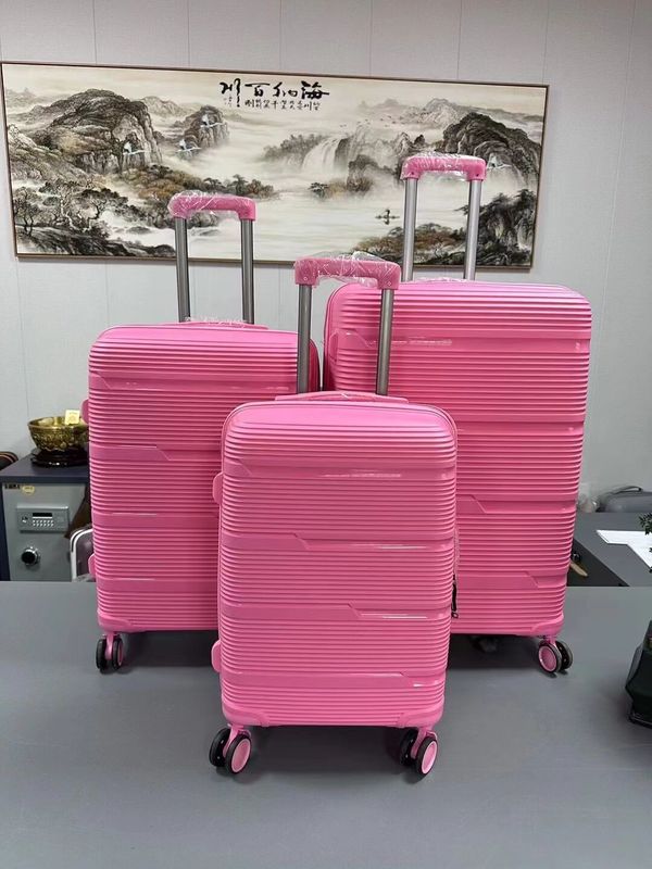OEM Business Carry-On 20 24 28 Zoll PP Reisetasche für Reisen und Arbeit
